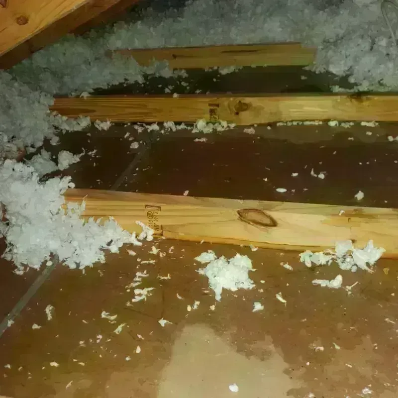 Attic Water Damage in West Hill, OH